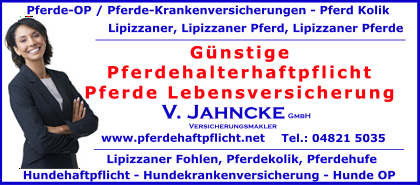 Pferdehalterhaftpflicht